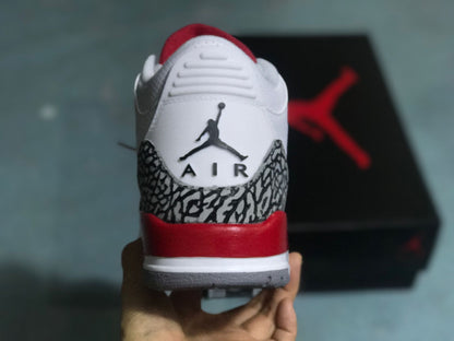 Jordan 3 Retro Hall of Fame